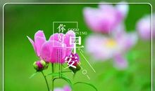 早上打招呼的句子