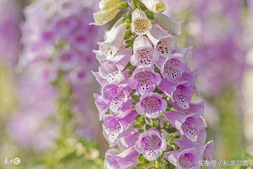 经典语录：休闲与没有脾气不同，我从未说过我很友善