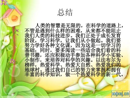 读虫后900字