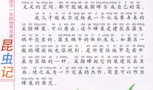 《昆虫记之蝉》读后感