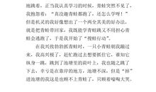 关于童年趣事作文