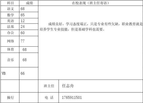 小学成绩单评论