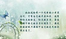 左耳里面的优美句子