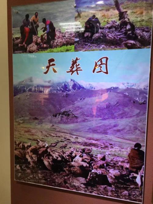 描述西藏的句子