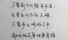 最美的经典句子