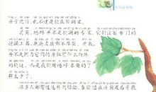 昆虫记蟋蟀读后感