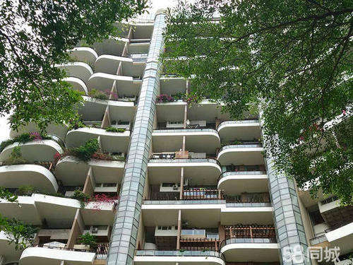 成功人士的素质