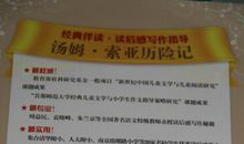 汤姆索亚历险记读后感400字