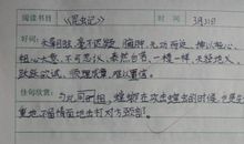 《昆虫记》读后感