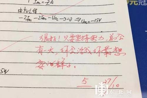 关于老师对大学生的评论