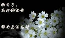 怀恋亲人的语句