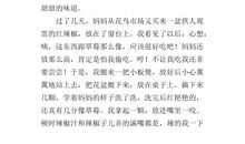 童年趣事小学生作文