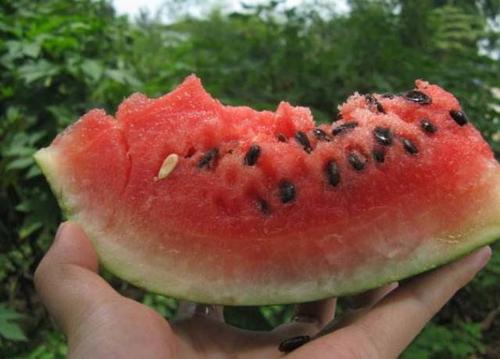 描述西瓜味道的句子