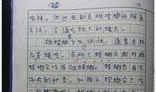 关于昆虫记的读后感