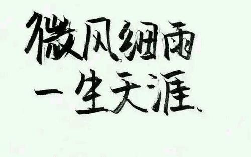 用一句话将世界当作家