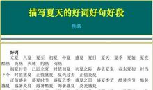 关于夏天好词好句好段