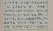 用首先然后最后写一段话