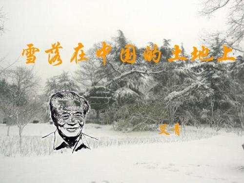 艾青:雪落在中国土地上