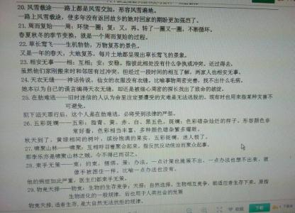 在句子中使用两个成语