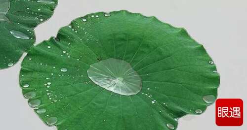 周国平：彼此靠近