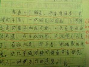 摘自《青铜向日葵》的精彩词句