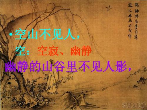 空山无人的全诗