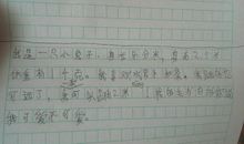 我最害怕的事作文