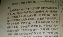 写童年趣事的作文400字