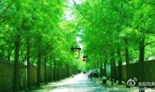 关于夏天的好段