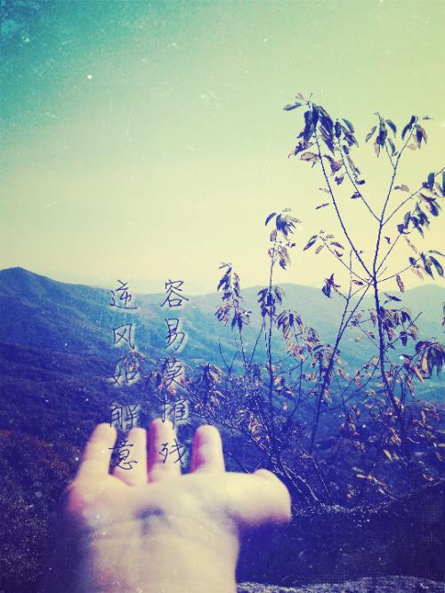 如果逆风而行,很容易就不破坏整首诗