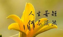 早安心语：爱，是一场天时地利的相遇