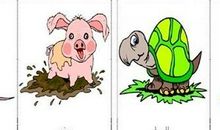 有关动物和天气的谚语2016