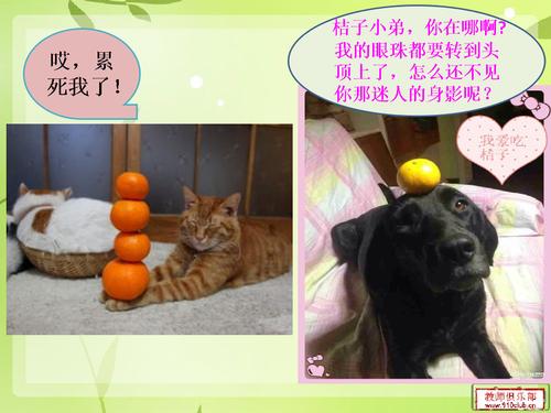 写作构成：上等橙