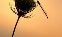 群处守住嘴，独处守住心