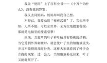 3年级观察植物日记