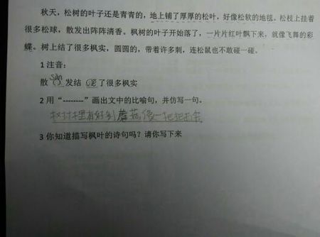 描写枫叶的现代诗歌