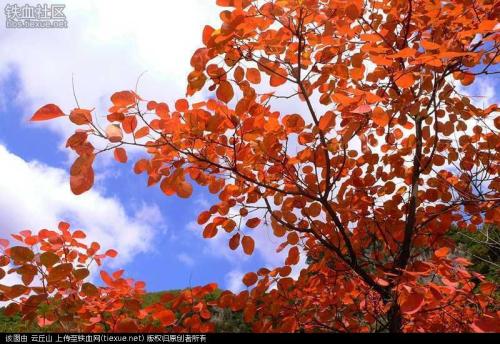 云丘山旅游笔记组成