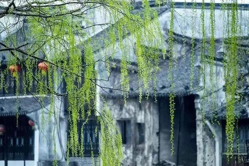 人生感悟：人生应该做的100件事