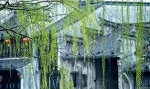 人生感悟：100件人生应做的无用之事