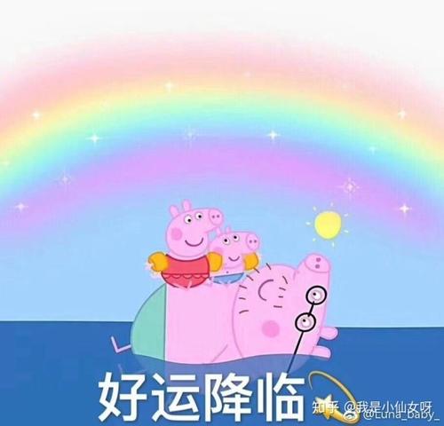 他们20岁的梦想距离有多远？