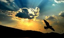 成功励志：忘记执著，多做试验