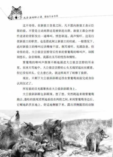 好的单词和句子