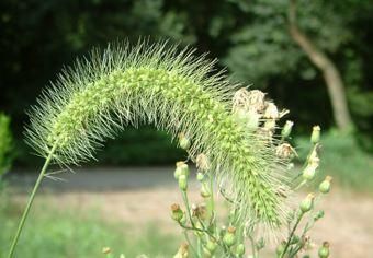 你不能承认失败,但你必须承认失败