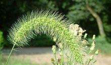 可以不服输，但要会认输