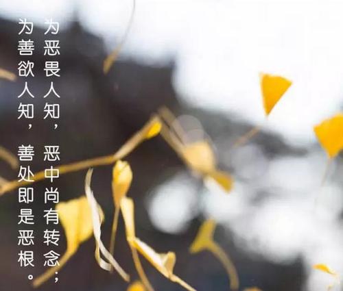 您可以终身使用的10大商业智慧