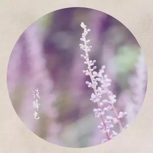 莫言:看看别人的世界,享受自己的生活