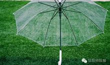 经典语录：晴天适合相见，雨天适合思念