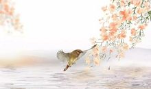 一个40岁的人给你提个醒