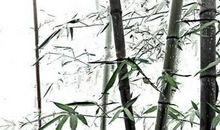 古诗十九首·冉冉孤生竹