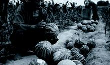 用远近闻名造句